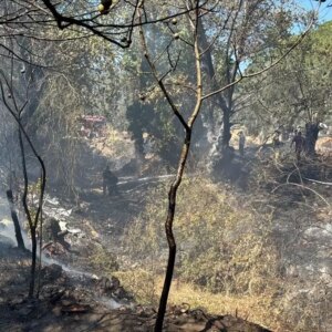 edremitte ortu yangini kontrol altina alindi M5v7PzjX