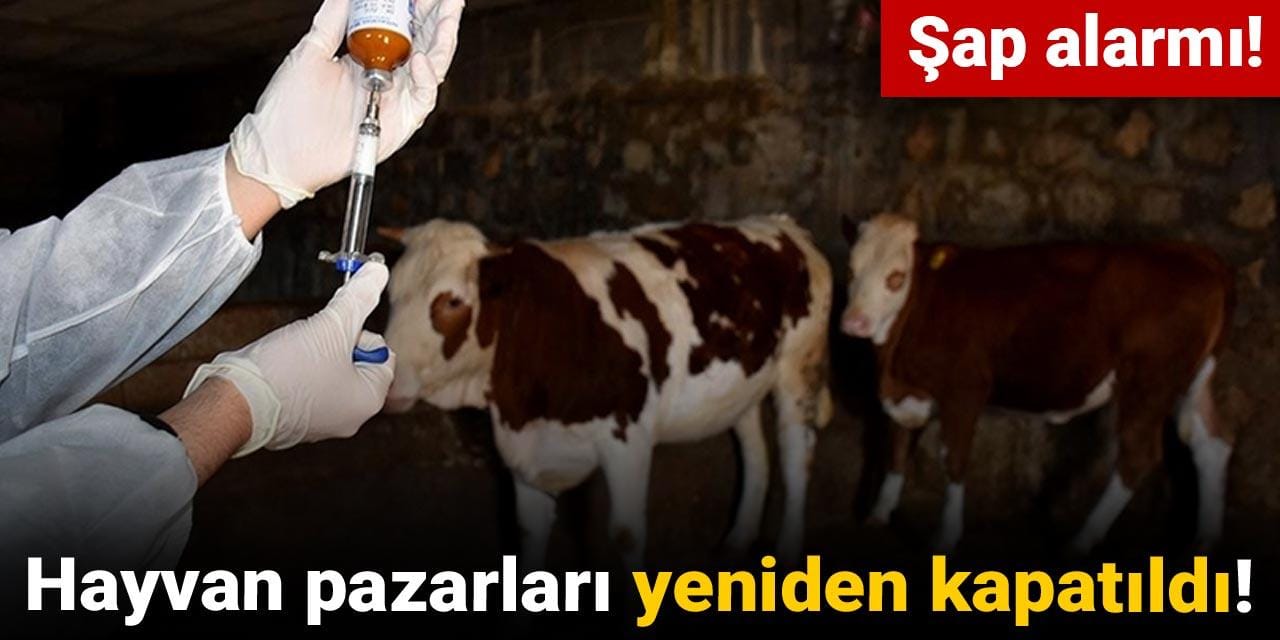 sap alarmi hayvan pazarlari yeniden kapatildi AvK8ykMX