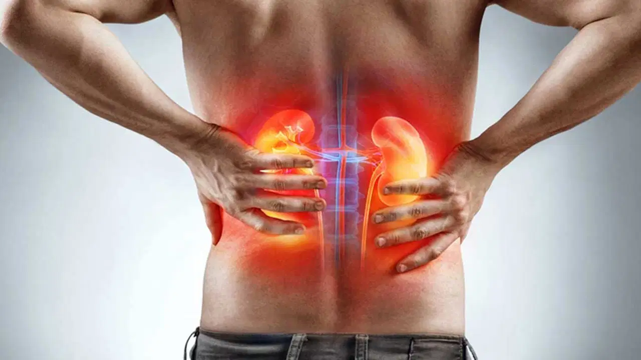 uroloji uzmani uyardi 45 yas ustune prostat ve bobrek muayenesi sart 7ls6HTFc