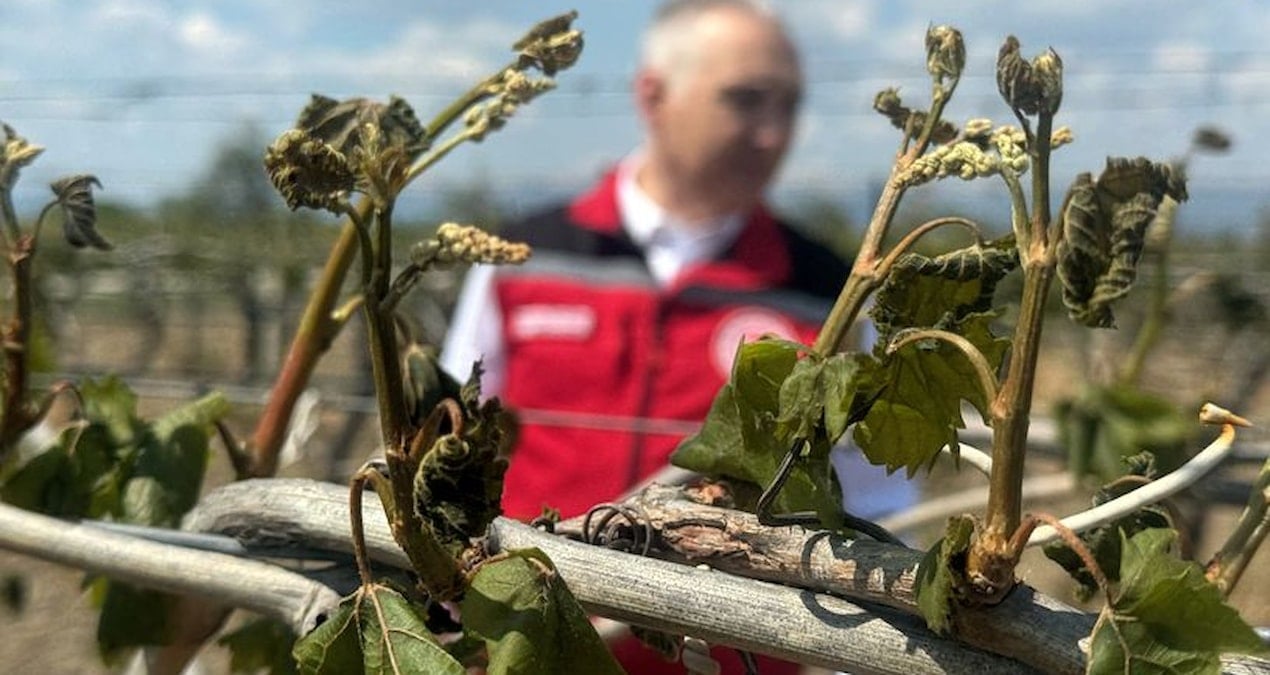 zirai dondan etkilenen ciftcilere destek odemesi yapilacak FxnxmdHa
