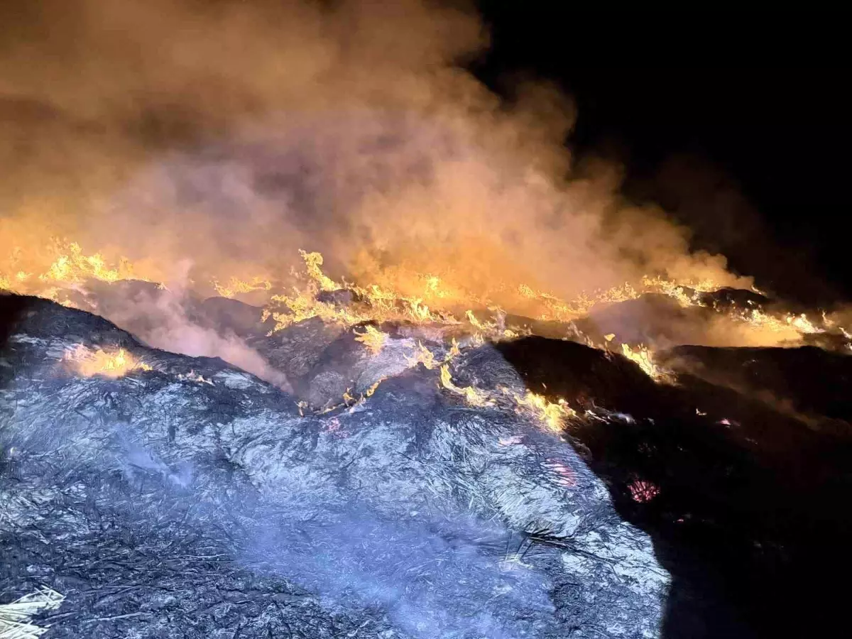 afyonkarahisarda yangin eber golunden toplanan kamislarin depolari alev aldi fvMdyfsm