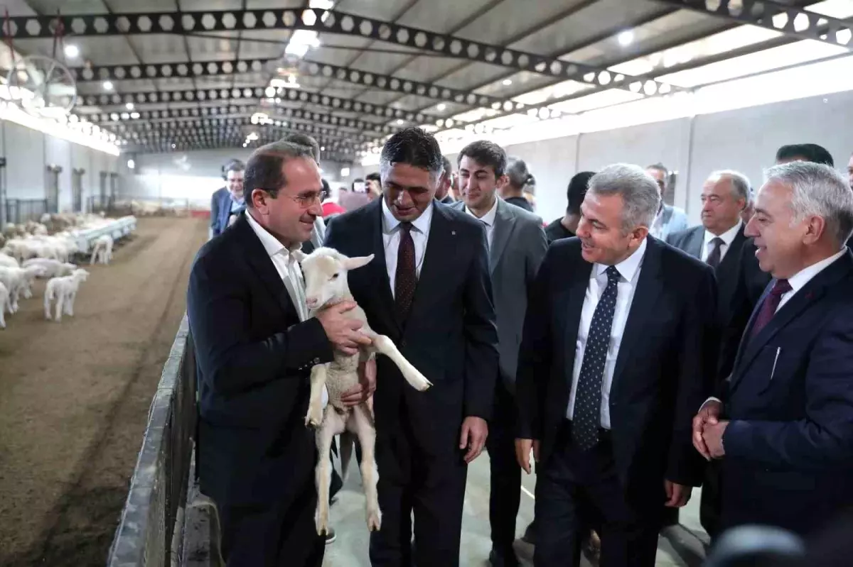 aliaga kirsal kalkinmada ornek olmaya devam ediyor MJ7ES9P6.jpg