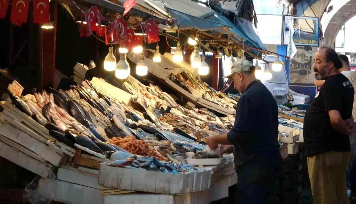 mersin balikcilari sezondan memnun fiyatlar uygun balik bol yLytyMhp.jpg
