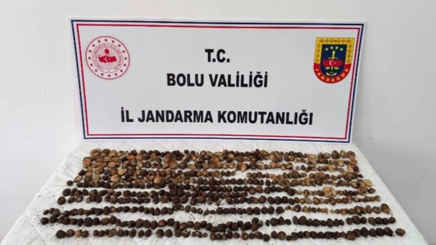 Yabani salep topladılar servet gibi ceza yediler!
