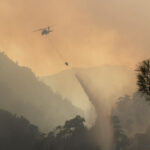 Mugla yangin3